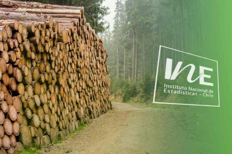 Exportaciones forestales del Biobío, IInstituto Nacional de Estadísticas, INE