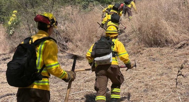Gobierno despliega histórico plan de casi 5 mil km de cortafuegos para prevenir incendios forestales