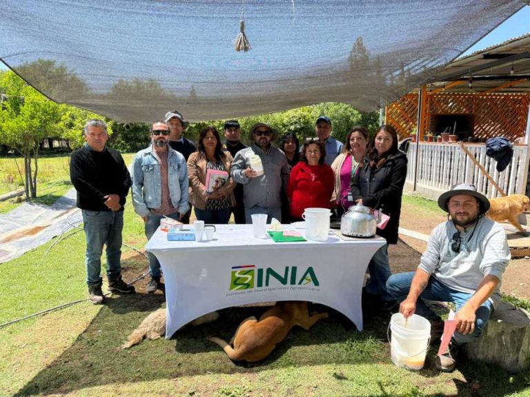 INIA Intihuasi impulsa talleres en Atacama para fortalecer capacidades en hidroponía y manejo de invernaderos