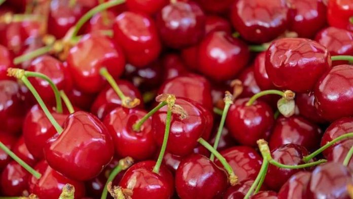 INIA busca producir entre 100 mil y 200 mil plantones de frambuesa en La Libertad