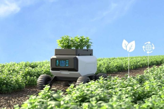 Innovación y riesgo controlado en el agro: plataformas que facilitan la toma de decisiones estratégicas