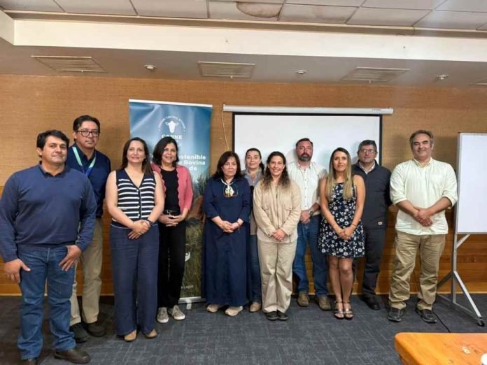 PTI Carne Bovina Los Lagos define su agenda 2026 para seguir impulsando el desarrollo ganadero regional