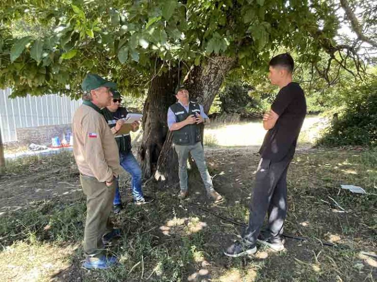 SAG Biobío llama a propietariosas de aves de corral a reforzar medidas de bioseguridad