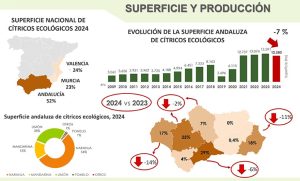 Superficie y Producción