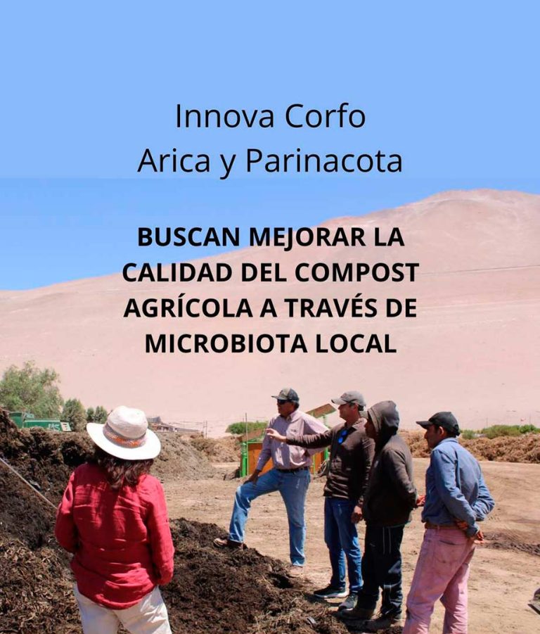 Carlos Meza, CEO de Terragénesis: "En Arica podemos hacer lo que por definición es una agricultura regenerativa"
