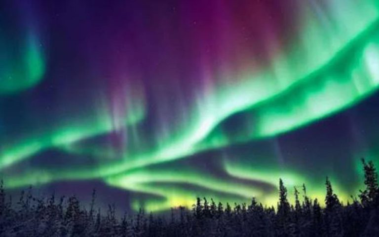Agricultura boreal: la respuesta de Finlandia al desafío de superar los límites climáticos