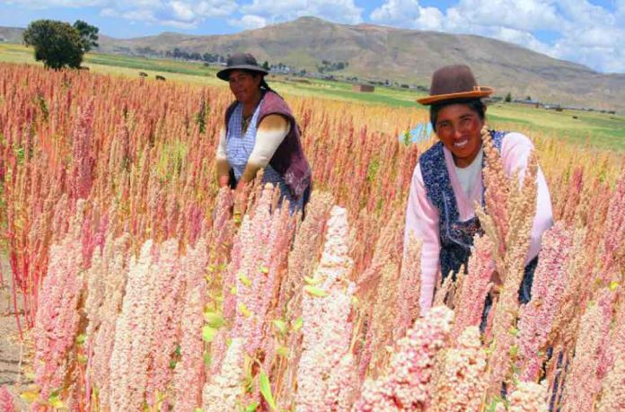 Agroexportaciones peruanas a Francia sin afectaciones pese a decreto sobre plaguicidas