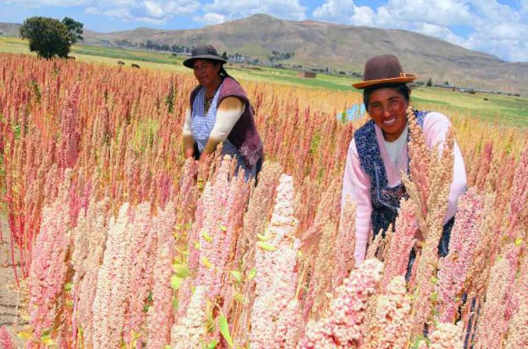 Agroexportaciones peruanas a Francia sin afectaciones pese a decreto sobre plaguicidas