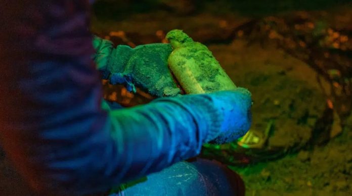 Argentina | Un científico enterró semillas en 1879 y el experimento sigue activo