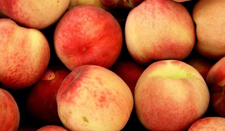 Argentina a un paso de exportar carozos a China: Avanzan las negociaciones fitosanitarias