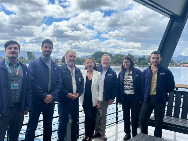 CIREN presenta en Valdivia avances de innovador proyecto que mejora la gestión de praderas en la Región de Los Ríos
