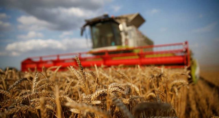 Chicago Compras generalizadas impulsan los futuros de cereales en EEUU desde mínimos de varias semanas