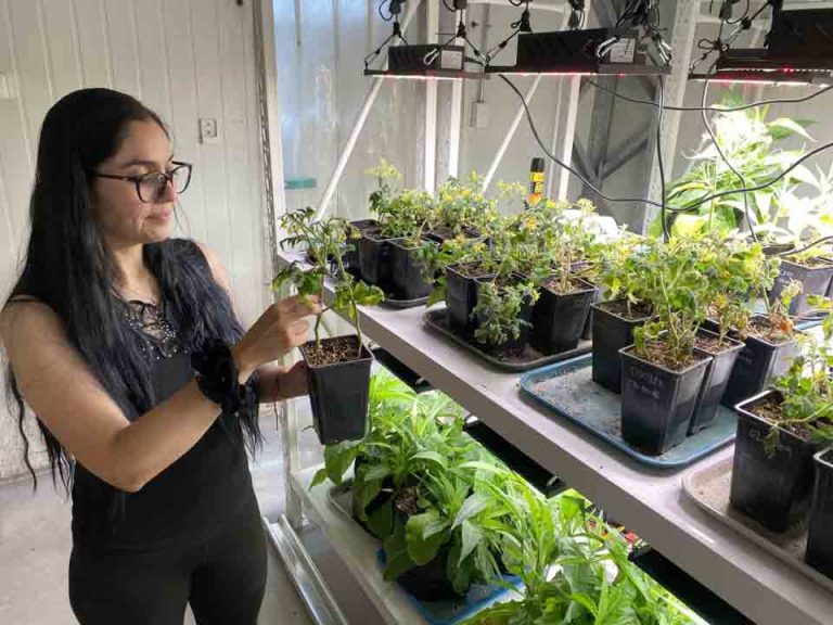 Científica del CEAF busca descifrar los “mensajes moleculares” que permiten a los frutales resistir la sequía