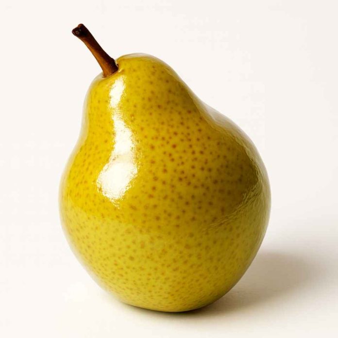 Científicos UCM crean protector comestible para fruta de exportación que retrasa  su descomposición y posee propiedades anticancerígenas