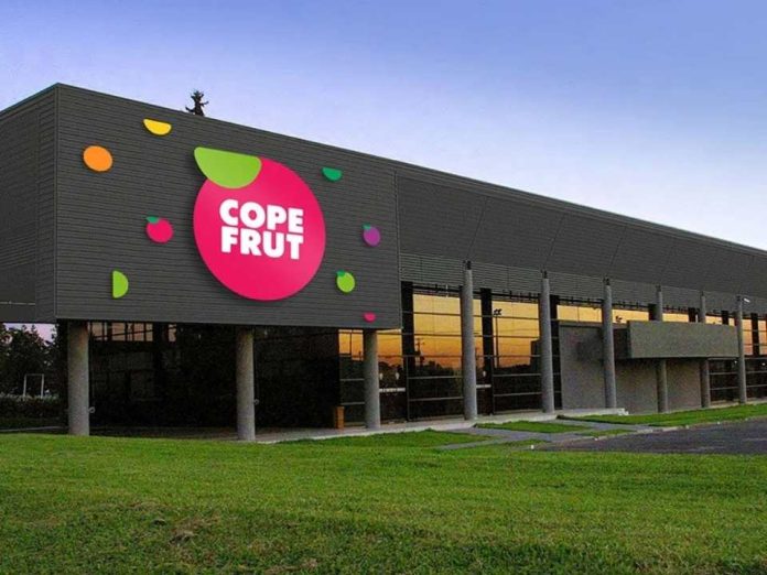 Copefrut y su estrategia para seguir creciendo dentro de los próximos 70 años
