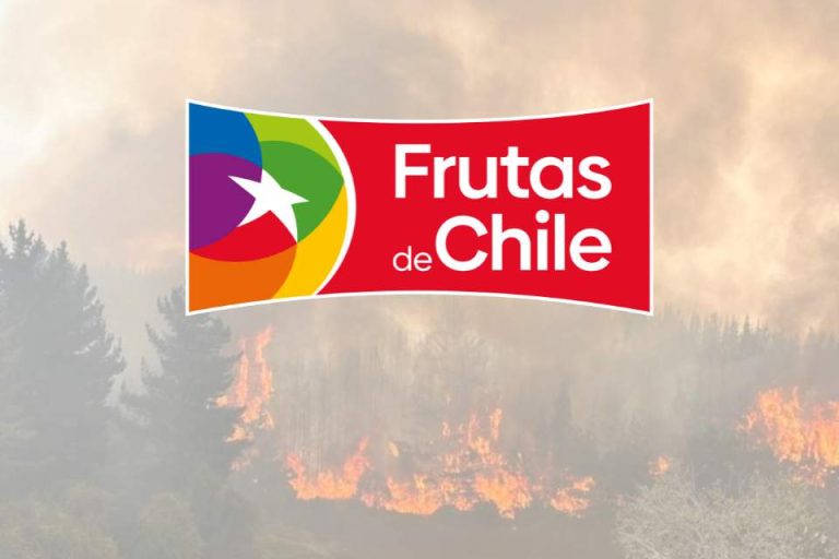 Declaración Frutas de Chile por incendios forestales