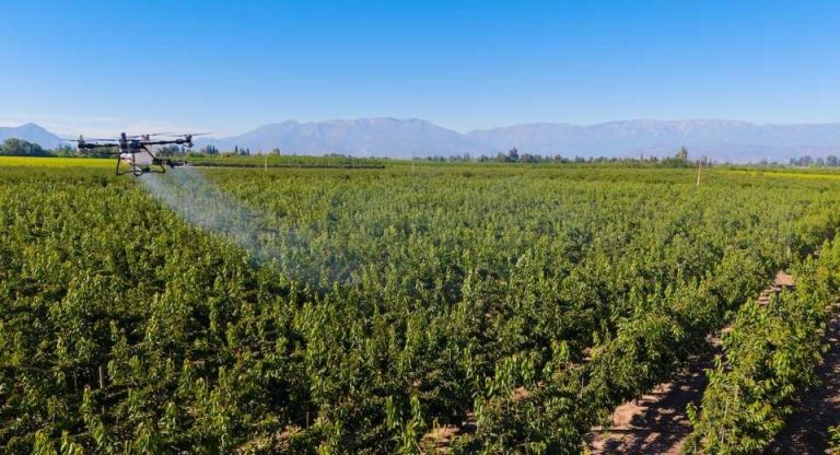 Del cielo a la tierra la “agricultura global” se construye desde el subsuelo hasta el espacio exterior
