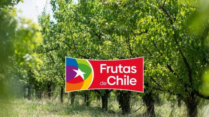 Declaración pública Frutas de Chile – Nuevo ministro de Agricultura