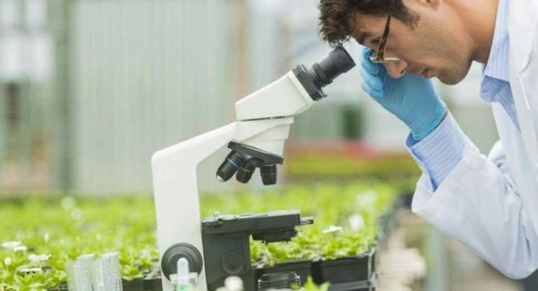 SAP y Syngenta anuncian alianza para escalar la agricultura asistida por IA