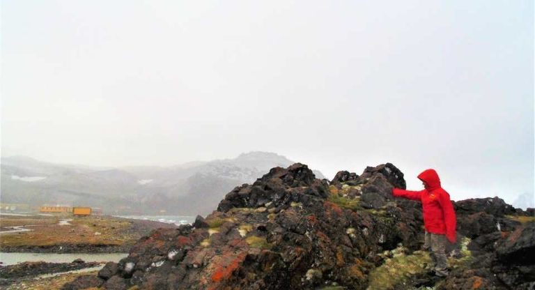 Investigadores buscan proteger a la Antártica de invasiones vegetales