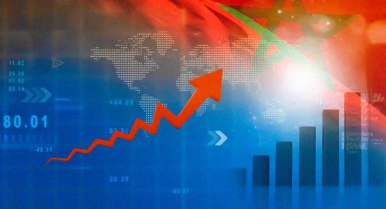 Marruecos, nuevo estándar de productividad en la industria global del arándano