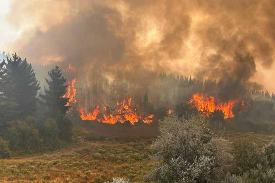 Ministra Ignacia Fernández llega a Ñuble como ministra enlace del Gobierno por incendios forestales