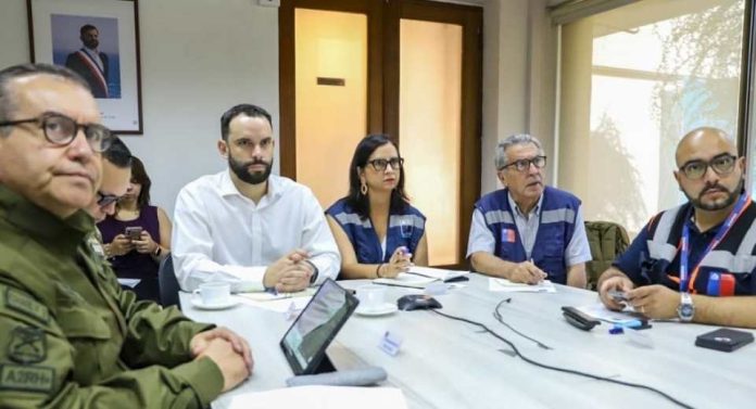 Ministra de Agricultura llama a la responsabilidad ante incendios forestales que afectan a la Región de Ñuble