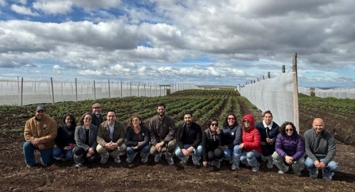 PTI Agroalimentos de Magallanes de Corfo avanza en su segundo año con nueva sesión de gobernanza en INIA Kampenaike