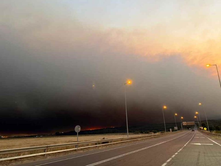 Presidente de Corma: “Hoy la prioridad es evitar pérdidas humanas y frenar la ocurrencia de nuevos incendios”