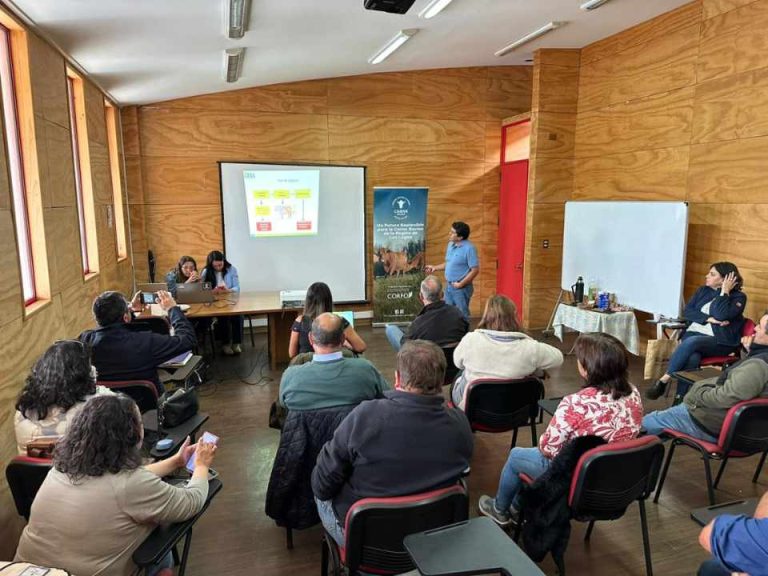 Productores ganaderos avanzan en la proyección de sus planes de negocio con apoyo del PTI de la Carne Bovina