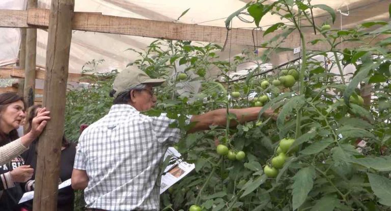 Proyecto de manejo de suelo y gestión hídrica beneficiará a productores del Maule
