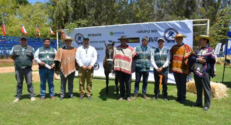 SAG refuerza control de Anemia Infecciosa Equina en Ñuble con más de 3.300 muestreos y fuerte despliegue territorial