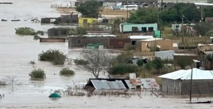 Sudáfrica declara desastre nacional por inundaciones: Impacto en zonas productoras de cítricos y paltas
