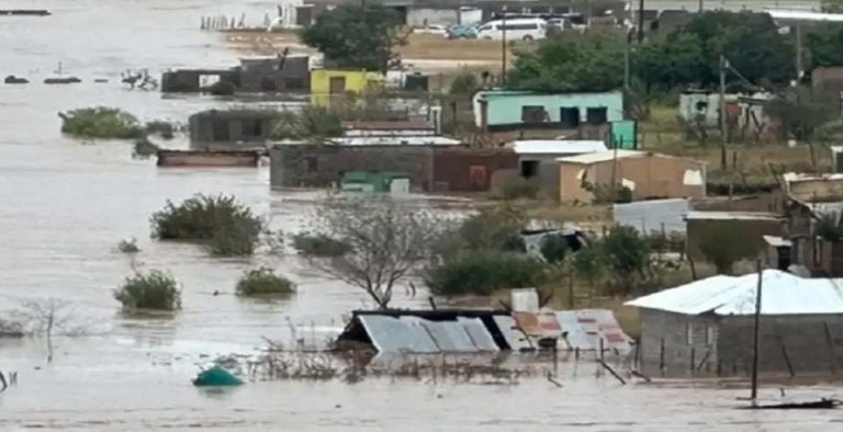 Sudáfrica declara desastre nacional por inundaciones: Impacto en zonas productoras de cítricos y paltas