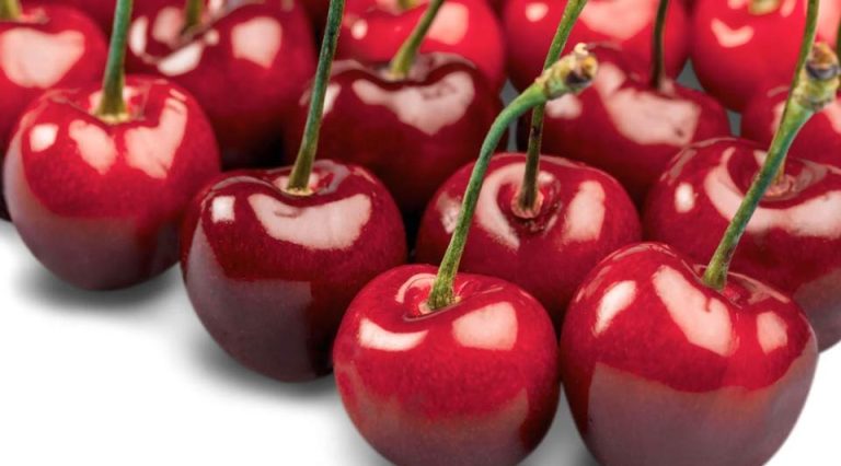 Tasmania inaugura su temporada de exportación de cerezas con un despliegue estratégico en Hong Kong
