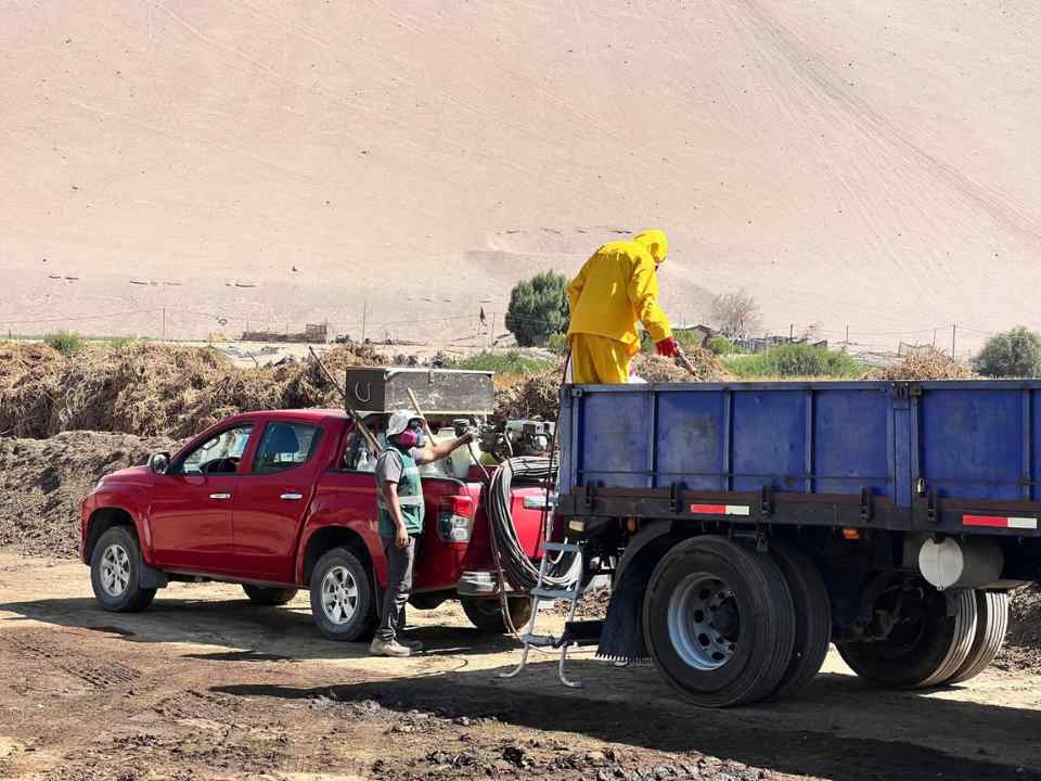 El proyecto, financiado por el programa Innova Región de Corfo, se ejecuta en la planta de compostaje Don Salomón, de la agricultora Liliana Trigo. La iniciativa surge de un dolor real del territorio: la dependencia de compost traído del sur