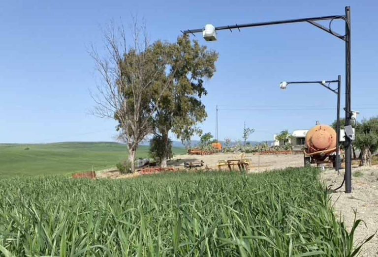 Una plataforma inteligente estima el riego diario y ahorra un 32% de agua