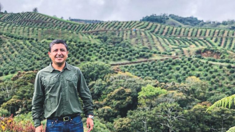 AGROECONOMÍAEMPRESASMERCADO Westfalia Colombia apuesta por la palta y consolida su origen competitivo
