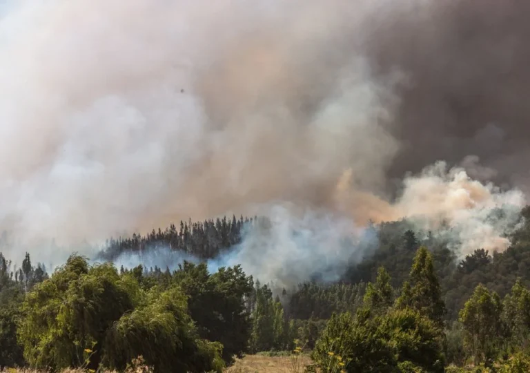 Cómo los incendios forestales están transformando los suelos chilenos