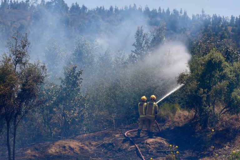 Ministerio de Agricultura declara emergencia agrícola para la Región del Biobío como consecuencia de los incendios forestales