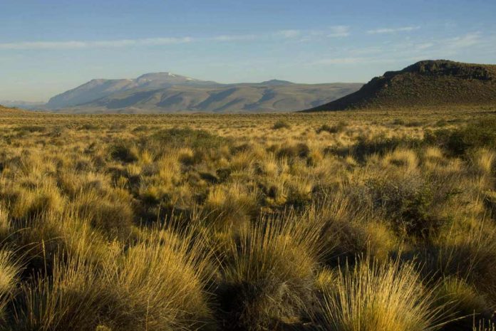 La Patagonia será regenerativa o no será: TNC, una peso pesado del ambientalismo, se suma al esfuerzo para que productores del sur adopten prácticas de conservación del suelo y puedan obtener así bonos de carbono