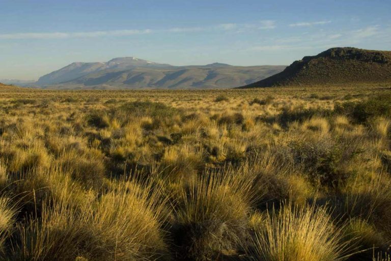 La Patagonia será regenerativa o no será: TNC, una peso pesado del ambientalismo, se suma al esfuerzo para que productores del sur adopten prácticas de conservación del suelo y puedan obtener así bonos de carbono
