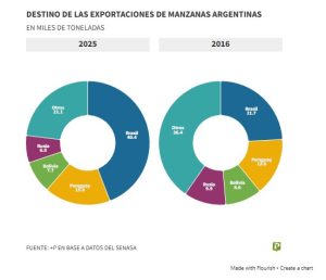 grafica manzanas 2
