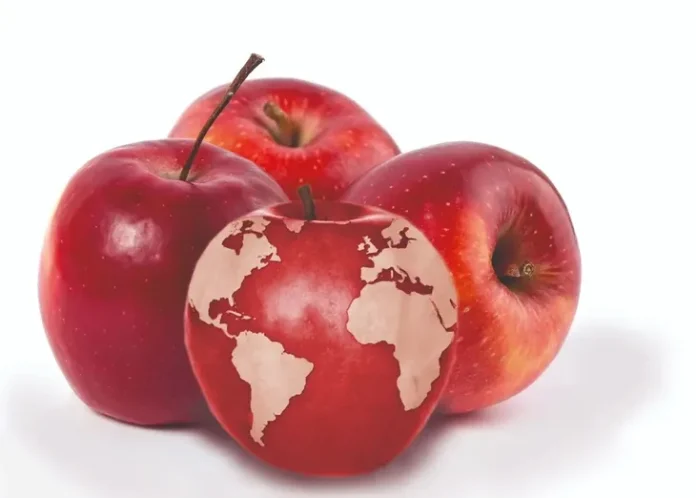 EEUU | La producción mundial de manzanas cae a su nivel más bajo en cinco años y reconfigura el mercado global