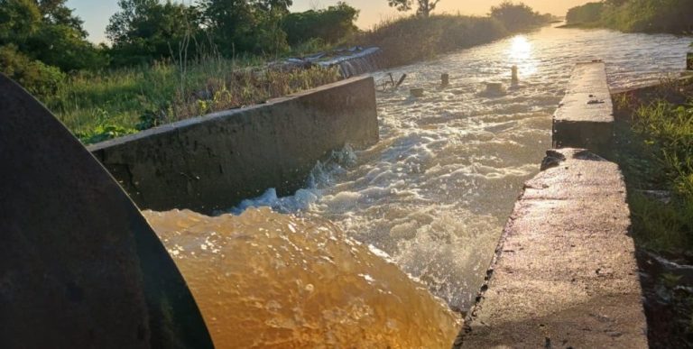Productores de arroz de San Javier reclaman cambios urgentes en contratos eléctricos por crisis energética
