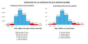 Gráfico informe