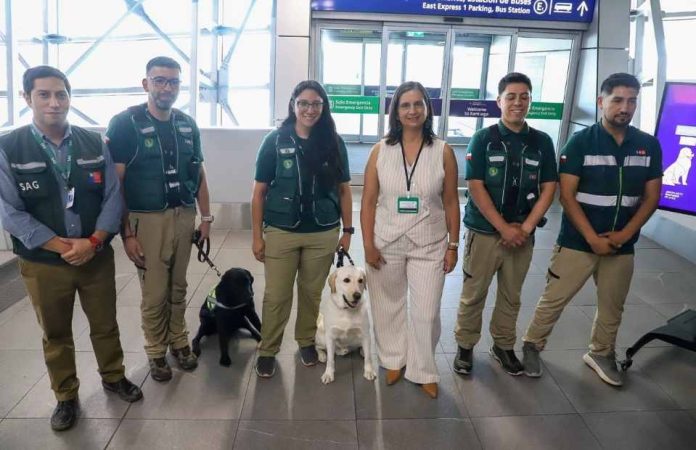 SAG implementa nuevo procedimiento para mejorar la atención a la ciudadanía en todo el país