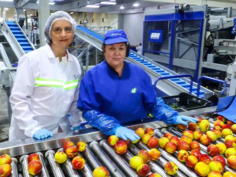 Agenda de Competitividad Agroexportadora Sustentable impulsa alza de 6,5% en exportaciones y récord sobre US$ 20.500 millones
