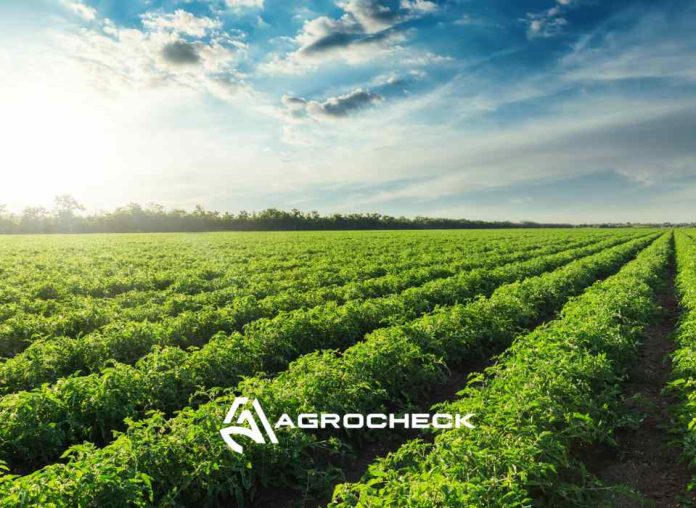 Agrocheck: Software agrícola líder en el control de cosecha y la gestión de labores en Chile