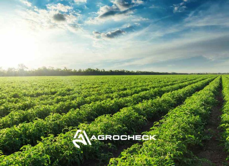 Agrocheck: Software agrícola líder en el control de cosecha y la gestión de labores en Chile